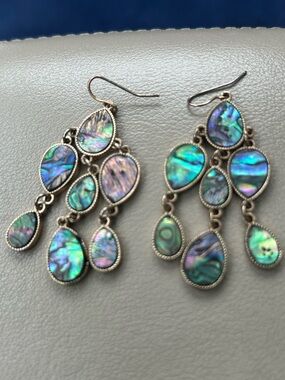 Abalone Teardrop Dangle Earrings - Iridescent Green-Blue - Unbranded